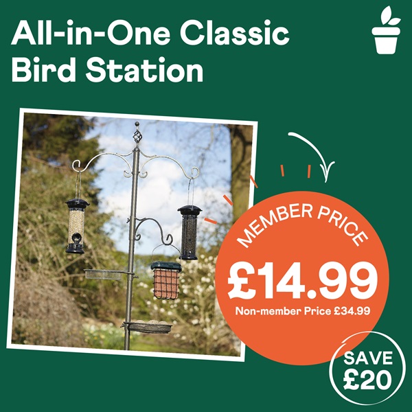 All-In-One Classic Bird Station