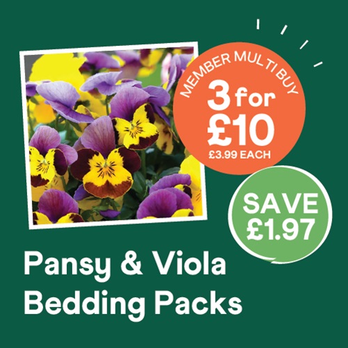 Pansy & Viola Bedding Packs
