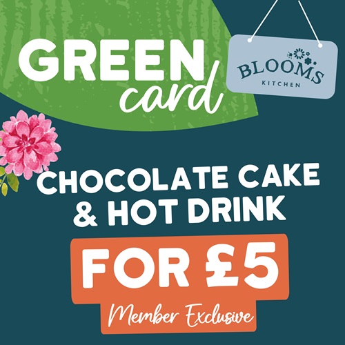 Chocolate Cake & Hot Drink – Blooms